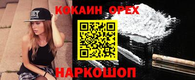 тгк Кингисепп
