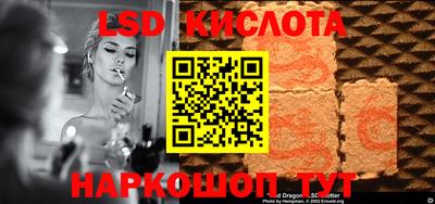 тгк Кингисепп