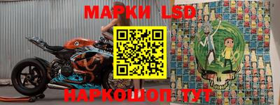 тгк Кингисепп