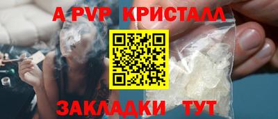 тгк Кингисепп