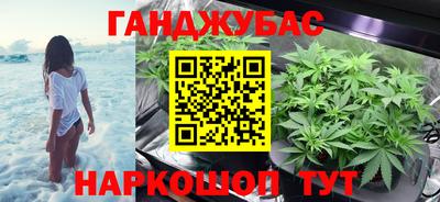 тгк Кингисепп