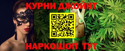 тгк Кингисепп