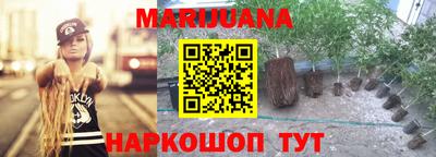 тгк Кингисепп