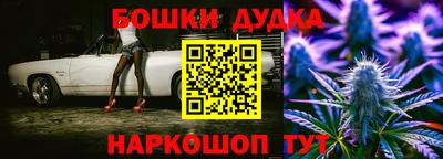 тгк Кингисепп