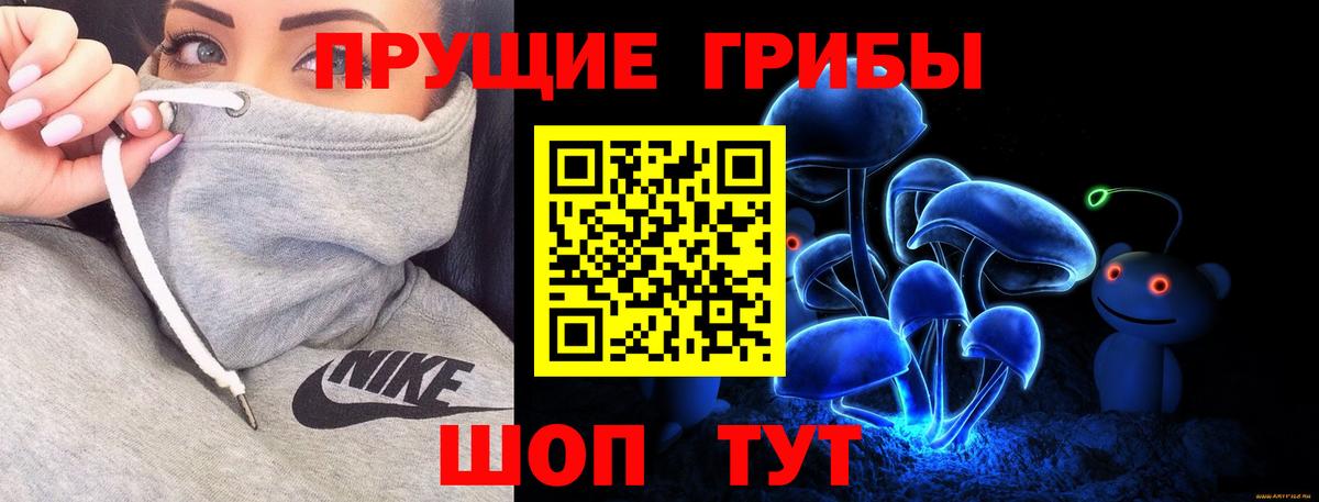 Псилоцибиновые грибы мицелий Шебекино